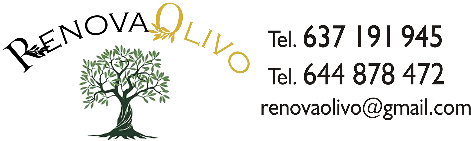 RENOVAOLIVO